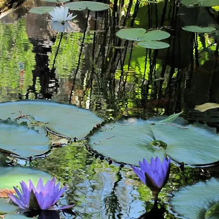 Maison d'hôtes Strongilos