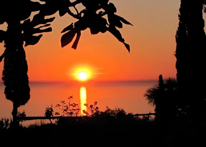 Strongilos Velanidia