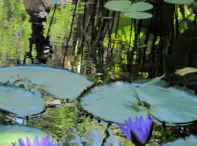 Pensionat Strongilos